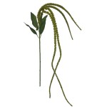 Toolhome Blossoms – Veronica – Green – 110cm Toolhome Blossoms – Veronica – Green – 110cm