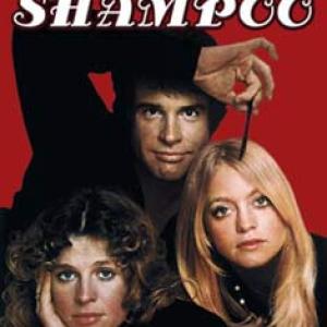 Shampoo(DVD) Shampoo(DVD)