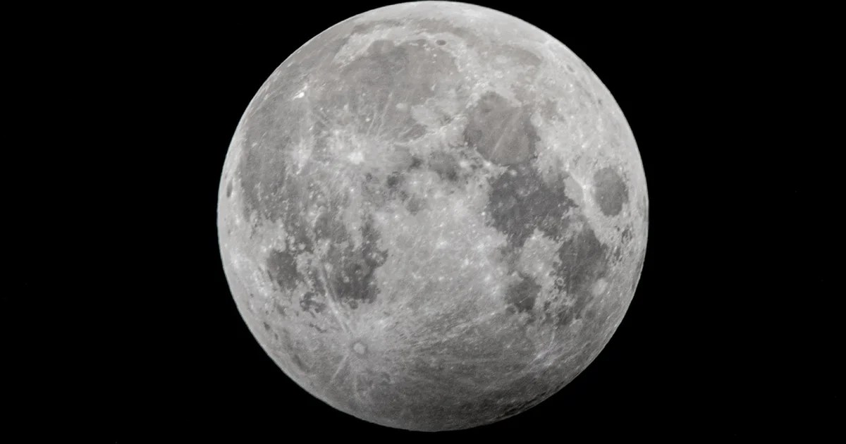 Endangered species are dying out on Earth. Could they be saved in outer space? Endangered species are dying out on Earth. Could they be saved in outer space?