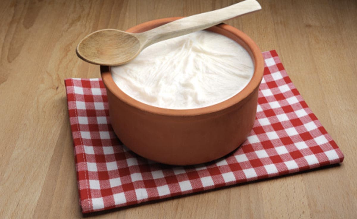What Is the Best Time to Have Probiotics for Maximum Benefits What Is the Best Time to Have Probiotics for Maximum Benefits