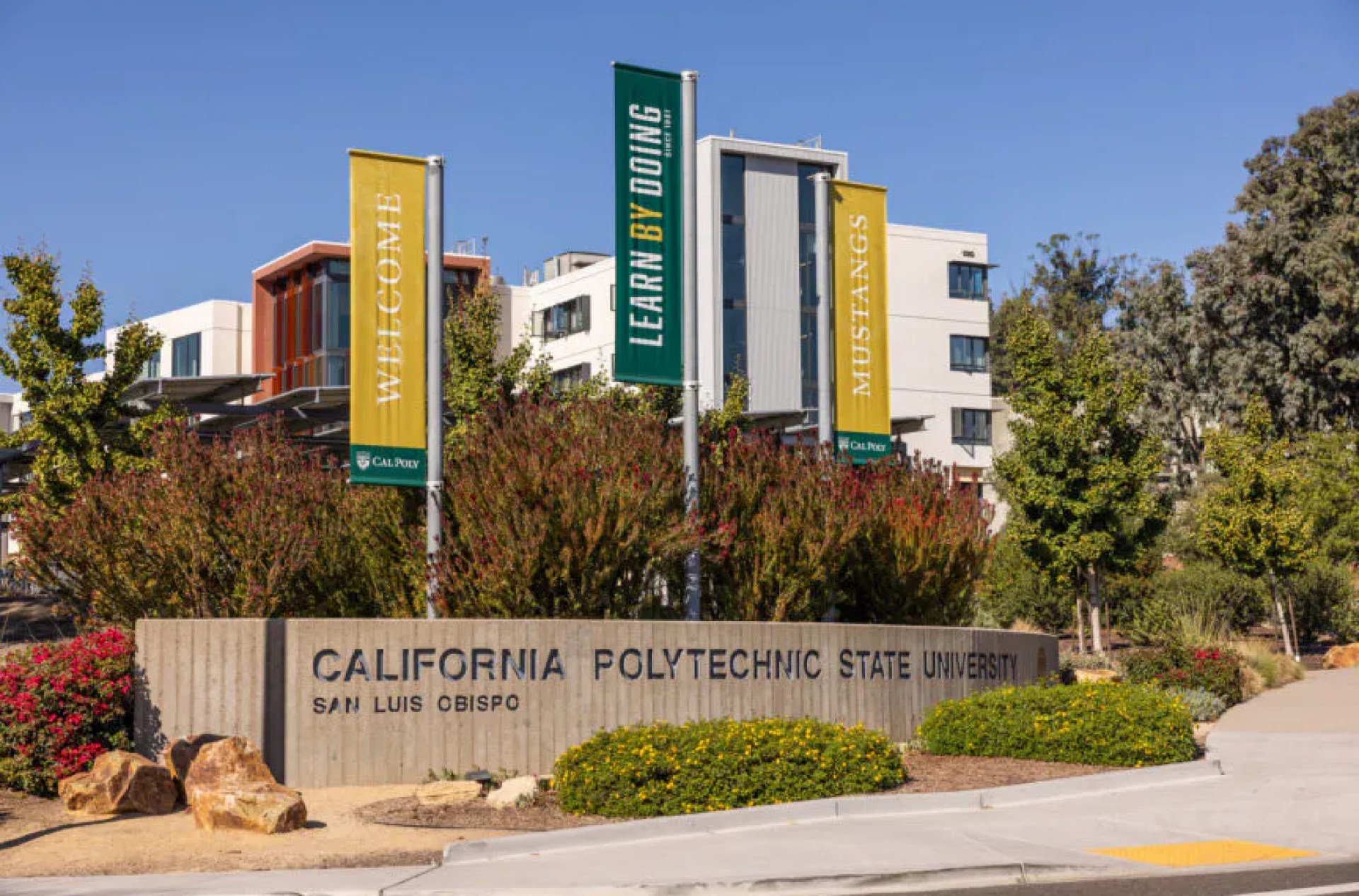 After Testifying Before Congress On Antisemitism, Cal Poly Hosted ‘All Day For Palestine’ After Testifying Before Congress On Antisemitism, Cal Poly Hosted ‘All Day For Palestine’