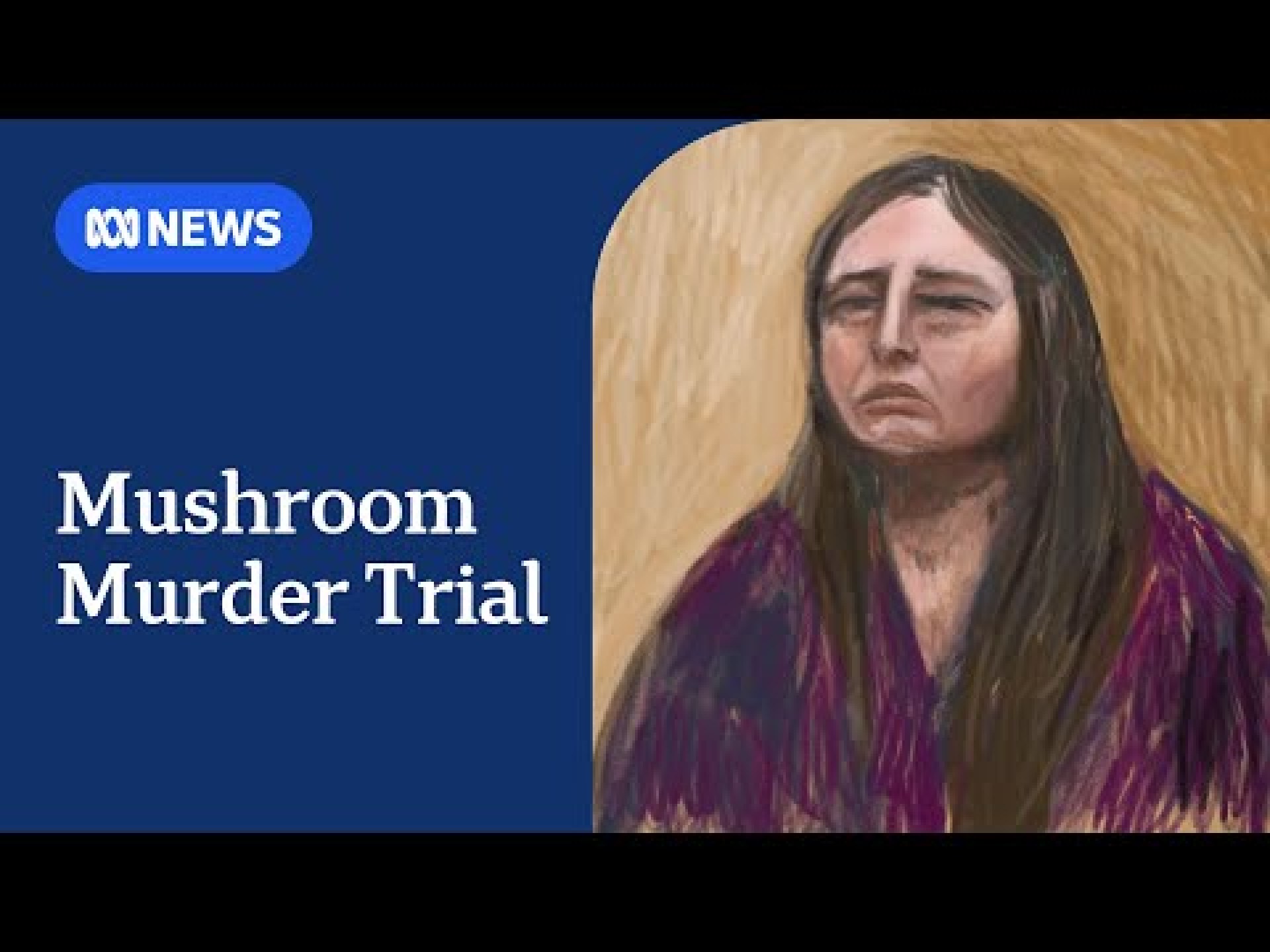 Erin Patterson says she disposed of dehydrator fearing blame for poisonings | ABC NEWS Erin Patterson says she disposed of dehydrator fearing blame for poisonings | ABC NEWS