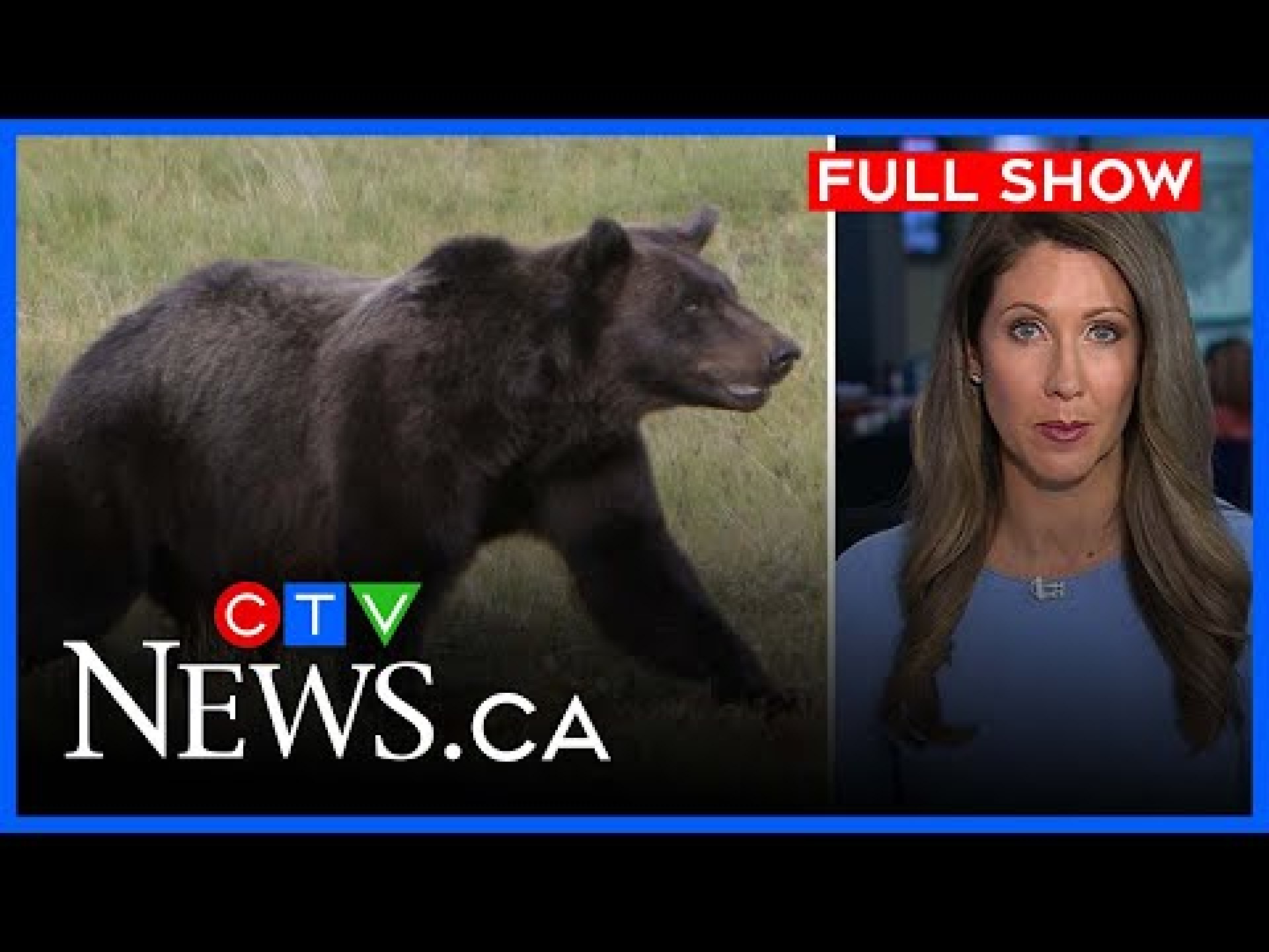 Grizzly bear attack in B.C. injures students, staff | CTV National News at 5:30 for Fri. Nov 21 2025 Grizzly bear attack in B.C. injures students, staff | CTV National News at 5:30 for Fri. Nov 21 2025
