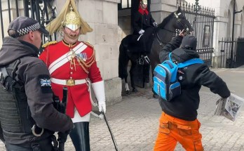 When The Kings Guards Show NO TOLERANCE To RUDE Tourists When The Kings Guards Show NO TOLERANCE To RUDE Tourists
