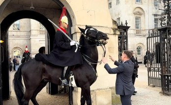 Beautiful Moment: KING’S GUARD IN SUIT RUSHES TO HELP CALM Unsettled Horse Down Beautiful Moment: KING’S GUARD IN SUIT RUSHES TO HELP CALM Unsettled Horse Down