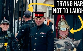 KINGS GUARD AND CORPORAL HOLD BACK LAUGH WHEN HORSE DID THIS! KINGS GUARD AND CORPORAL HOLD BACK LAUGH WHEN HORSE DID THIS!