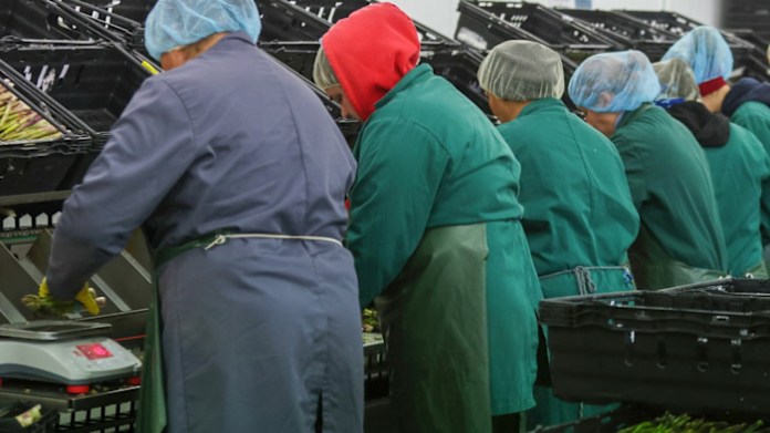 Economists need to get their story straight on immigration Economists need to get their story straight on immigration