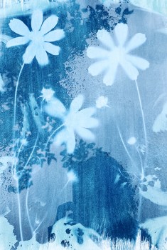 계절의 변화를 온몸으로 깨우는 법: 자연과 교감하는 감각의 힘 계절의 변화를 온몸으로 깨우는 법: 자연과 교감하는 감각의 힘