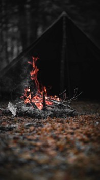 직장인 생존기: 버티는 힘과 전략 직장인 생존기: 버티는 힘과 전략