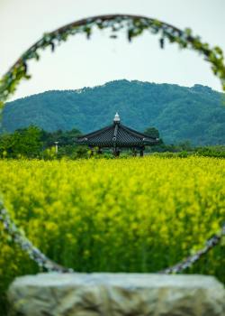 기다림, 그 성숙의 계절: 기다림이 주는 성숙함에 대하여 기다림, 그 성숙의 계절: 기다림이 주는 성숙함에 대하여