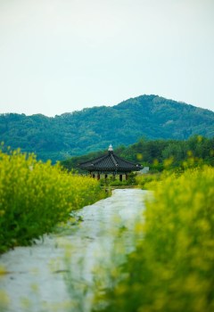 화병을 다스리는 철학적 처방전: 마음의 평온을 찾는 길 화병을 다스리는 철학적 처방전: 마음의 평온을 찾는 길
