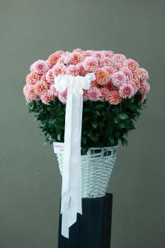 천재 vs 바보 행복의 진실: 불행한 천재와 행복한 바보 중 당신의 선택은? 천재 vs 바보 행복의 진실: 불행한 천재와 행복한 바보 중 당신의 선택은?