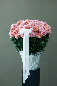 비교가 불행의 시작인 이유와 멈추는 법: 나만의 행복 찾기 비교가 불행의 시작인 이유와 멈추는 법: 나만의 행복 찾기