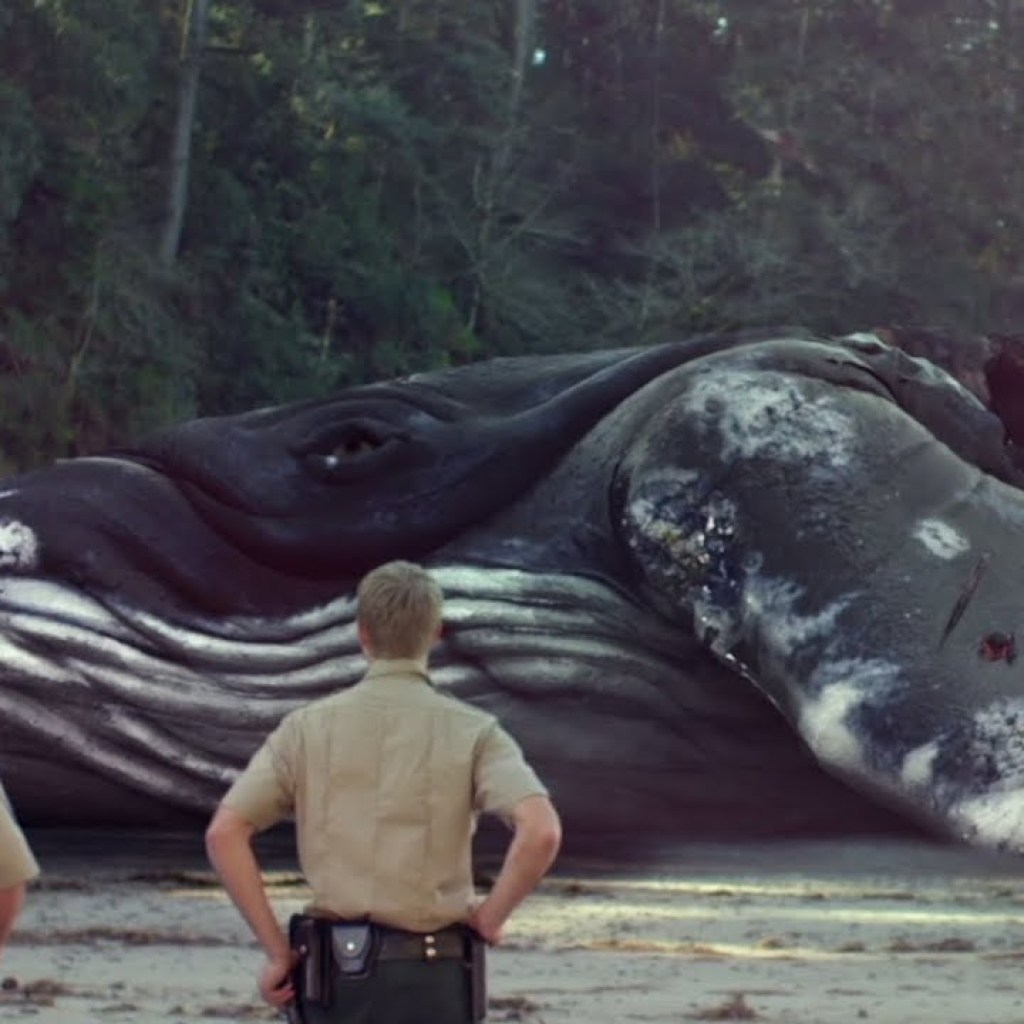 CRABS! (2022) Official Trailer (HD) CREATURE FEATURE CRABS! (2022) Official Trailer (HD) CREATURE FEATURE
