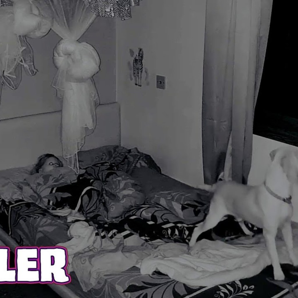 ITS NAME WAS MORMO (2024) Official Trailer (HD) FOUND FOOTAGE ITS NAME WAS MORMO (2024) Official Trailer (HD) FOUND FOOTAGE