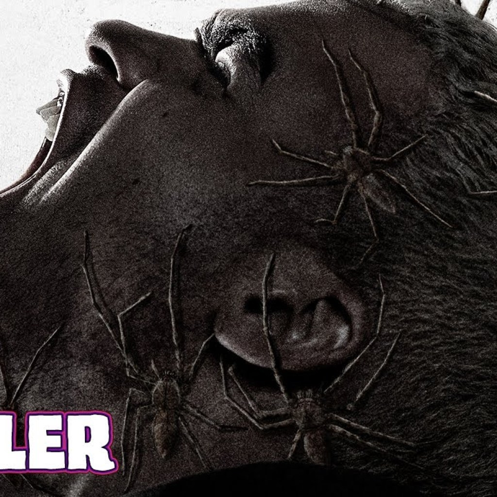INFESTED (Vermin)(2024) Official US Trailer (HD) FRENCH SPIDER HORROR INFESTED (Vermin)(2024) Official US Trailer (HD) FRENCH SPIDER HORROR