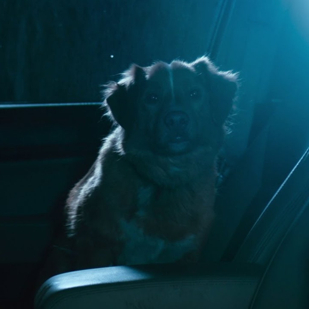 GOOD BOY (2025) CLIP #1 (HD) SUPERNATURAL GOOD BOY (2025) CLIP #1 (HD) SUPERNATURAL