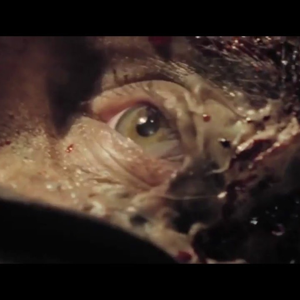 Patchwork (2016) Teaser Trailer (HD) Patchwork (2016) Teaser Trailer (HD)