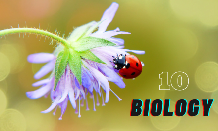 Biology Papers | Class 10 | Urdu_English medium Biology Papers | Class 10 | Urdu_English medium