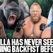 “A Gorilla Has Never Seen A Spinning Backfist Before, I Think We Stand A Chance!” | Pat McAfee Show “A Gorilla Has Never Seen A Spinning Backfist Before, I Think We Stand A Chance!” | Pat McAfee Show
