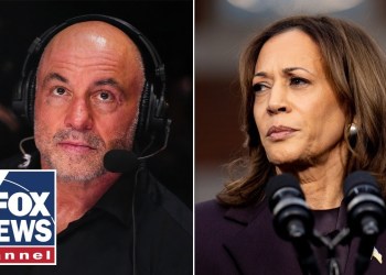 Joe Rogan reveals what Kamala Harris didn’t want to talk about on podcast Joe Rogan reveals what Kamala Harris didn’t want to talk about on podcast