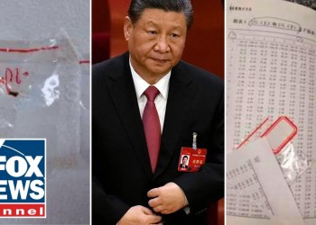 ‘DIRECT THREAT’: Chinese smuggling suspects operated dangerous pathogen scheme for years ‘DIRECT THREAT’: Chinese smuggling suspects operated dangerous pathogen scheme for years