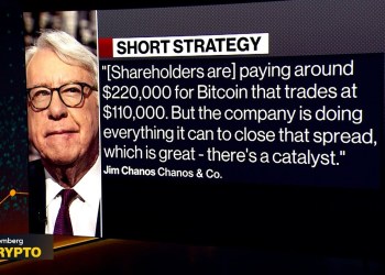 Chanos Doesn’t Understand Our Business Model: Saylor Chanos Doesn’t Understand Our Business Model: Saylor