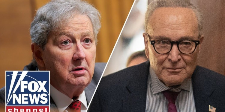 ‘HE’S LYING!’: Kennedy TORCHES Schumer over TSA pay ‘HE’S LYING!’: Kennedy TORCHES Schumer over TSA pay