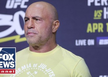 MSNBC guest makes wild claim about Joe Rogan MSNBC guest makes wild claim about Joe Rogan