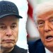 Trump, Musk to speak on phone after EXPLOSIVE online feud: Report Trump, Musk to speak on phone after EXPLOSIVE online feud: Report