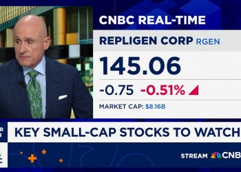 Starting first phase of long-term small cap outperformance relative to large: Palisade’s Dan Veru Starting first phase of long-term small cap outperformance relative to large: Palisade’s Dan Veru