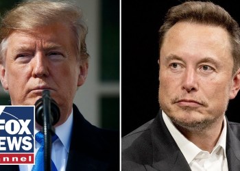 Trump announces Elon Musk will head audit of ‘entire federal government’ Trump announces Elon Musk will head audit of ‘entire federal government’