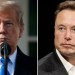 Trump announces Elon Musk will head audit of ‘entire federal government’ Trump announces Elon Musk will head audit of ‘entire federal government’