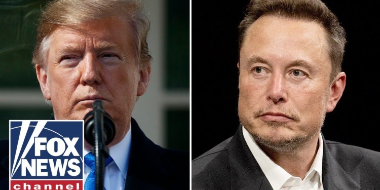 Trump announces Elon Musk will head audit of ‘entire federal government’ Trump announces Elon Musk will head audit of ‘entire federal government’