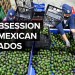Why Mexico Beats The U.S. In Avocado Production Why Mexico Beats The U.S. In Avocado Production