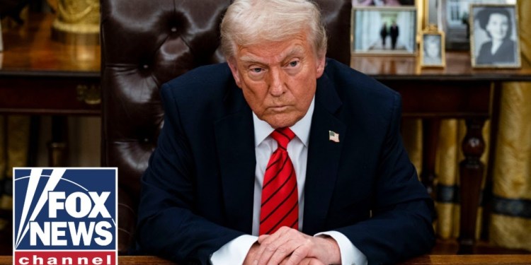 ‘We will be back in court’: Alina Habba on pushback to Trump’s executive orders ‘We will be back in court’: Alina Habba on pushback to Trump’s executive orders