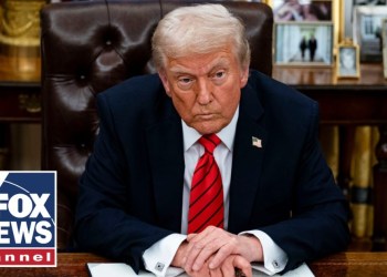 ‘We will be back in court’: Alina Habba on pushback to Trump’s executive orders ‘We will be back in court’: Alina Habba on pushback to Trump’s executive orders