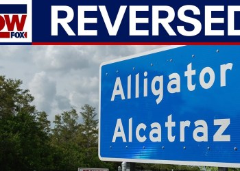 BLOCKED: ‘Alligator Alcatraz’ closure reversed on appeal BLOCKED: ‘Alligator Alcatraz’ closure reversed on appeal