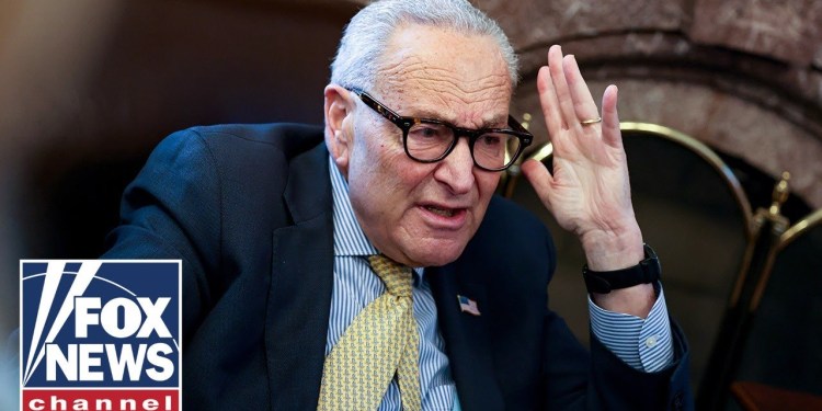 Schumer faces FURY over deal to end shutdown Schumer faces FURY over deal to end shutdown