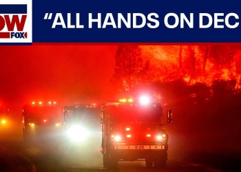 WATCH: Fire officials provide update on Park Fire | LiveNOW from FOX WATCH: Fire officials provide update on Park Fire | LiveNOW from FOX