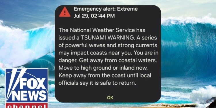 BREAKING: Tsunami alerts triggered for entire US West Coast after massive 8.7 quake BREAKING: Tsunami alerts triggered for entire US West Coast after massive 8.7 quake