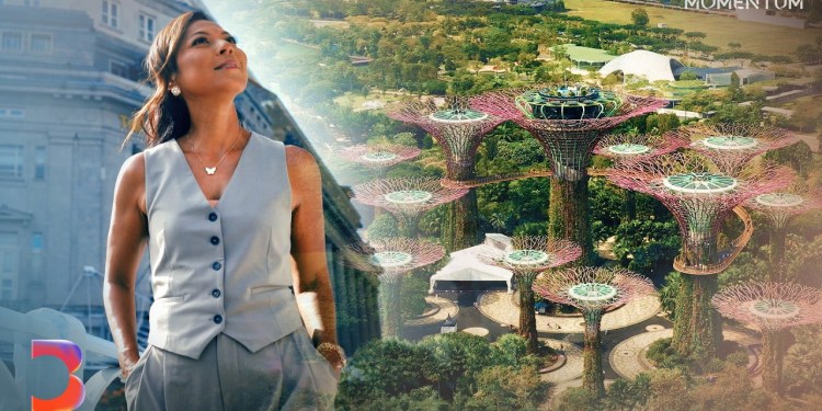 How Singapore Is Trying to Build a Climate-Proof City | Momentum How Singapore Is Trying to Build a Climate-Proof City | Momentum