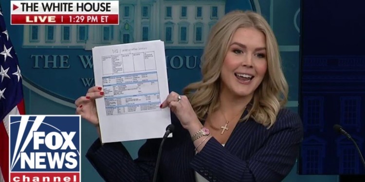 Karoline Leavitt ‘brings receipts’ as reporter asks for DOGE evidence Karoline Leavitt ‘brings receipts’ as reporter asks for DOGE evidence