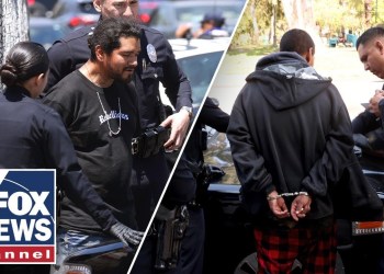 Feds seize MILLIONS in drug raid tied to cartel Feds seize MILLIONS in drug raid tied to cartel