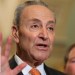 Schumer reportedly directed Dems to pressure Trump nominees: ‘SHAMEFUL’ Schumer reportedly directed Dems to pressure Trump nominees: ‘SHAMEFUL’
