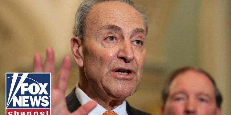 Schumer reportedly directed Dems to pressure Trump nominees: ‘SHAMEFUL’ Schumer reportedly directed Dems to pressure Trump nominees: ‘SHAMEFUL’