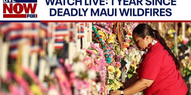 WATCH LIVE: Anniversary of Maui wildfires, Trump campaign holds conference & more | LiveNOW from FOX WATCH LIVE: Anniversary of Maui wildfires, Trump campaign holds conference & more | LiveNOW from FOX