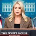 White House launches new website to combat fake news White House launches new website to combat fake news