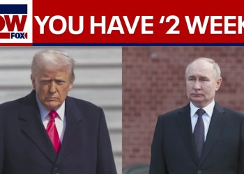 WATCH: President Trump gives Putin 2 weeks to make ceasefire deal WATCH: President Trump gives Putin 2 weeks to make ceasefire deal