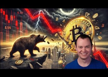 Bitcoin Down 50% From The Highs Bitcoin Down 50% From The Highs
